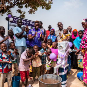 Build Water Wells